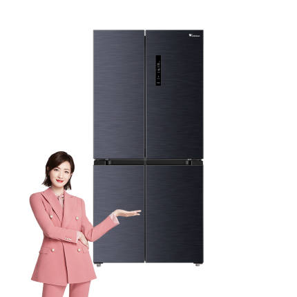 【母婴冰箱】小天鹅445L一级变频 银离子抑菌 铂金净味智能家电冰箱BCD-445WSPZL(E)