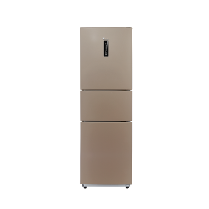 冰箱 BCD-226WTL