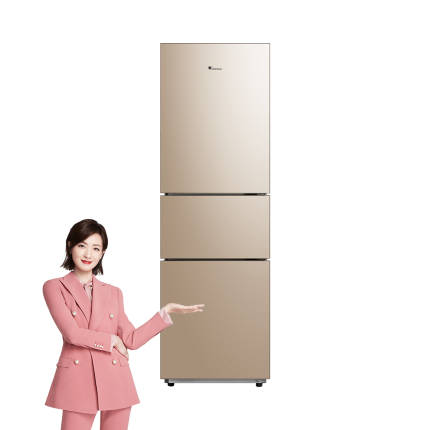 【租房首选】小天鹅219升三门冰箱 租房优选 中门软冻 两口之家BCD-219TL