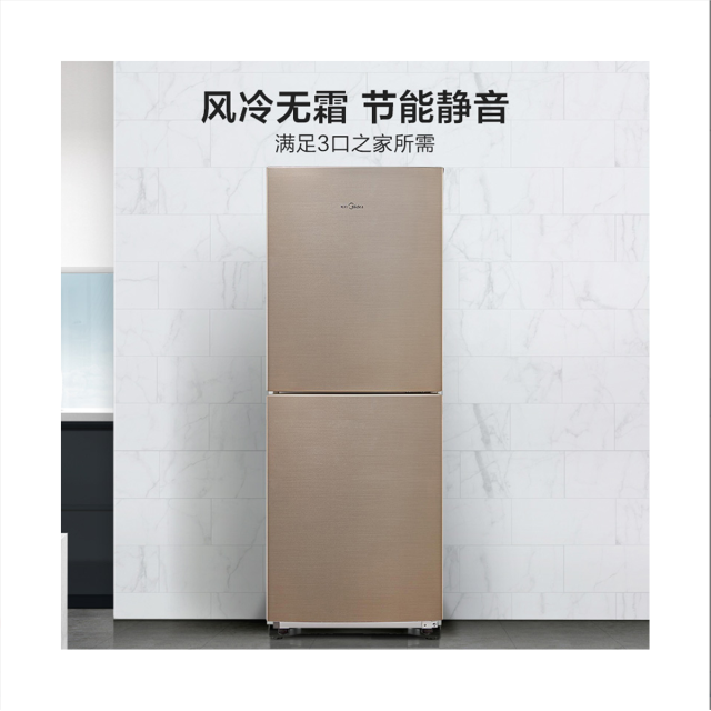 冰箱 BCD-166WM
