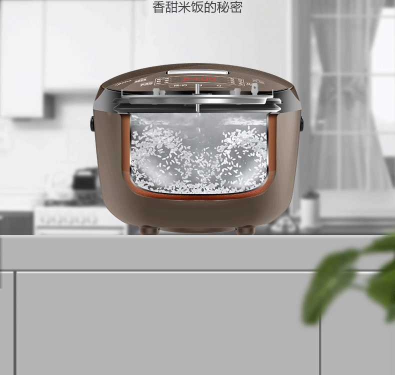 产品详情介绍