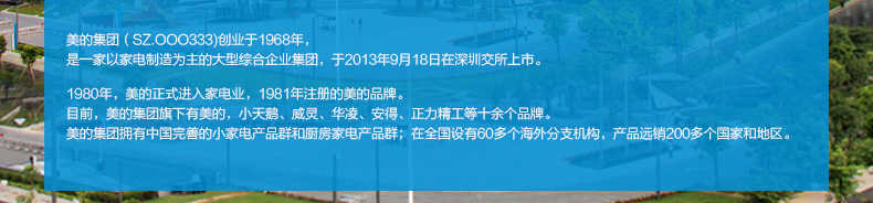 商品详情