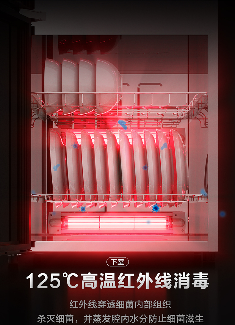 产品详情介绍