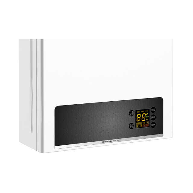 燃气热水器 LJSQ20-12WL5V(T)