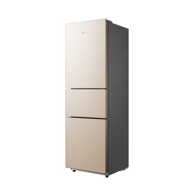 冰箱 BCD-219TL