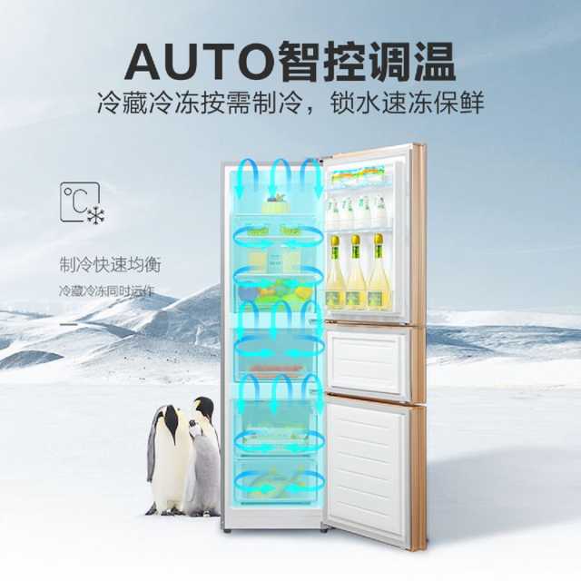 冰箱 BCD-217WTGM