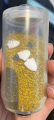 KDF除氯阻垢后置净氯器 KDF/MSAP/银离子三合一 沐浴过滤器 沐浴滤芯