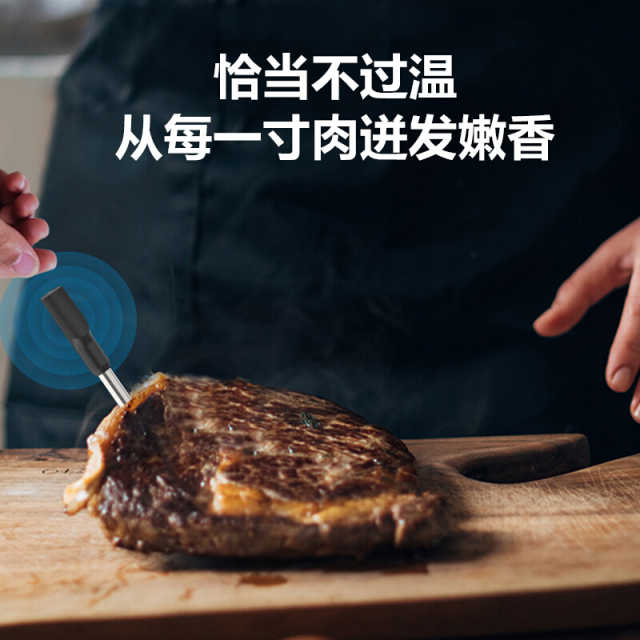 微波炉烤箱配件耗材美的智能烤肉探针 蓝牙探针