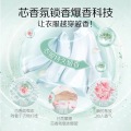 阿道夫·蒂姆森芯香氛洗衣凝露 艾草防护 1.3L