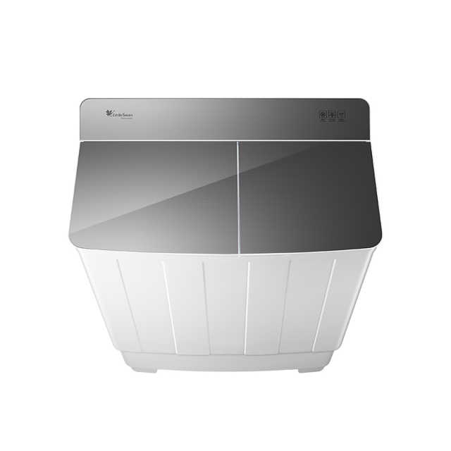 TP100VH60E 双桶洗衣机 极地白 门盖巴赫银 钢化玻璃 / 220V,1Ph 50Hz