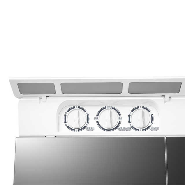 TP100VH60E 双桶洗衣机 极地白 门盖巴赫银 钢化玻璃 / 220V,1Ph 50Hz