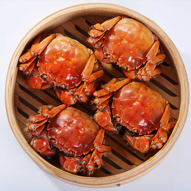 蟹禾居阳澄湖大闸蟹 母蟹2.5两 八只