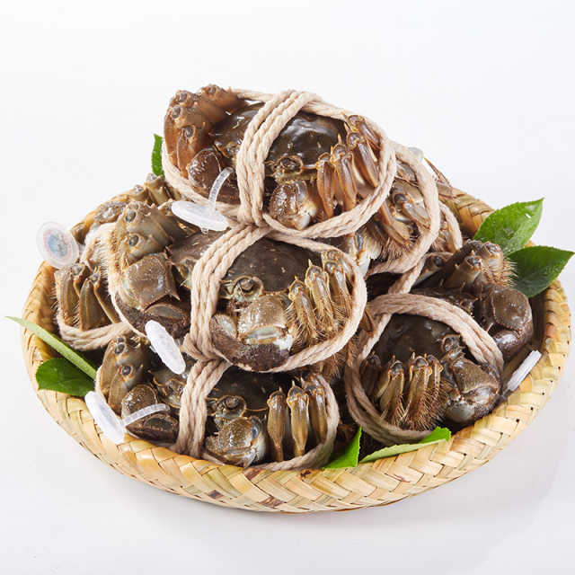 蟹禾居阳澄湖大闸蟹 母蟹2.5两 八只