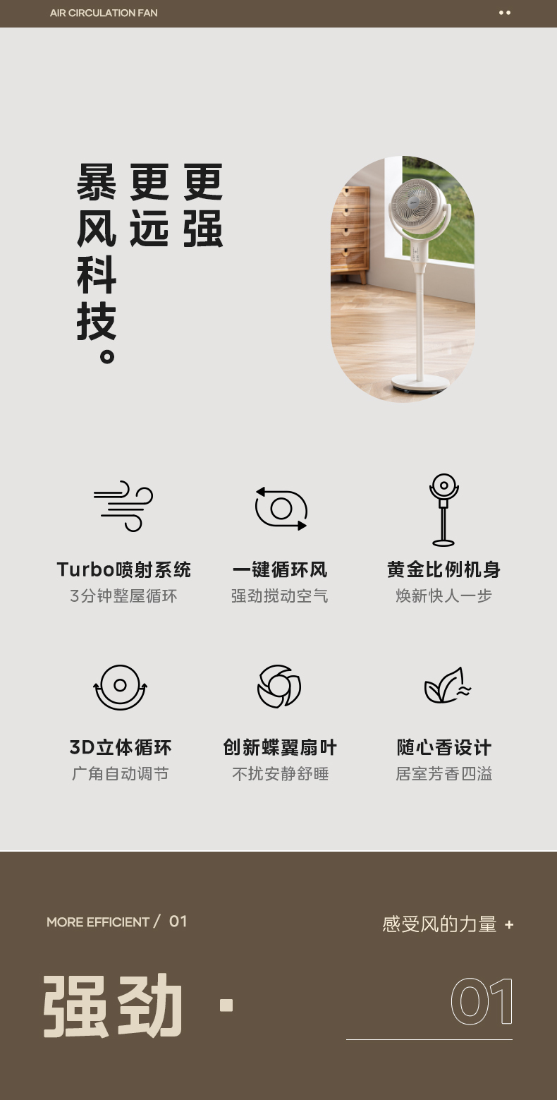 产品详情介绍