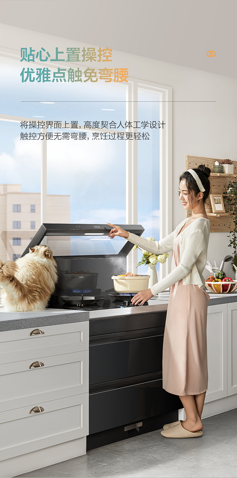 产品详情介绍