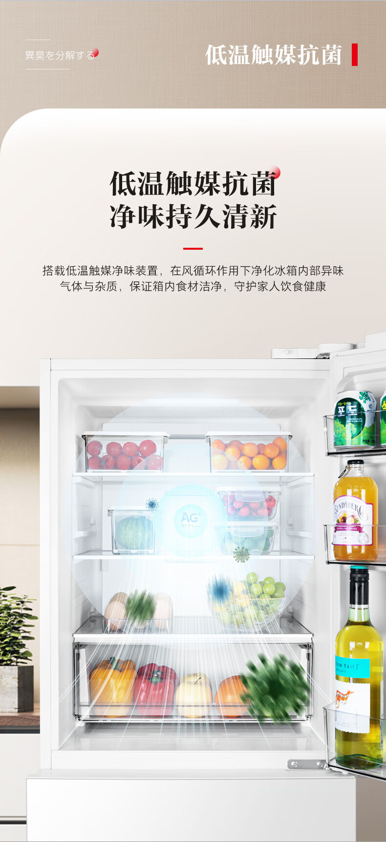 产品详情介绍