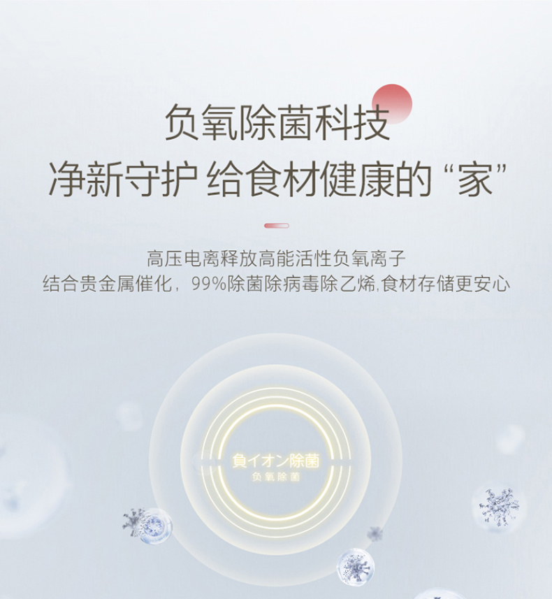 产品详情介绍