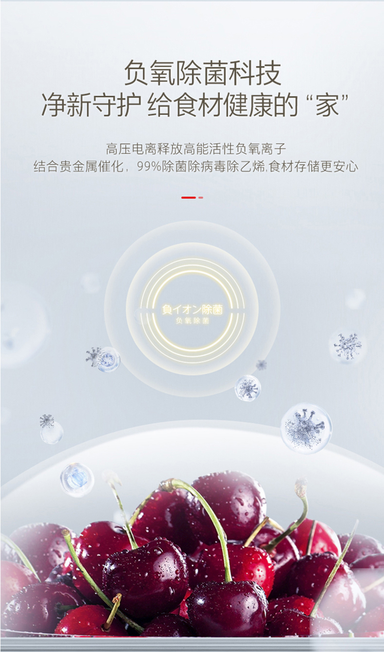 产品详情介绍