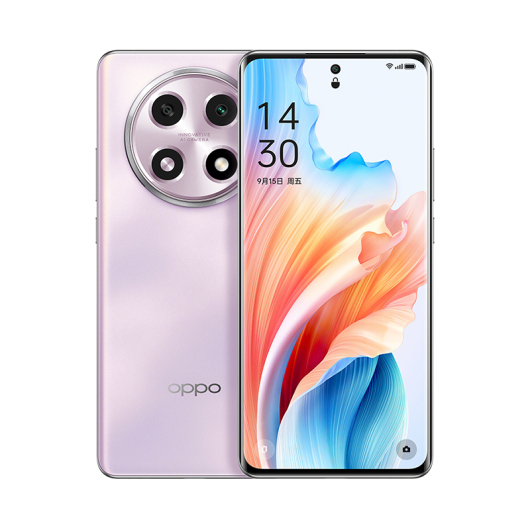 OPPO A2 Pro 12GB+512GB 暮云紫