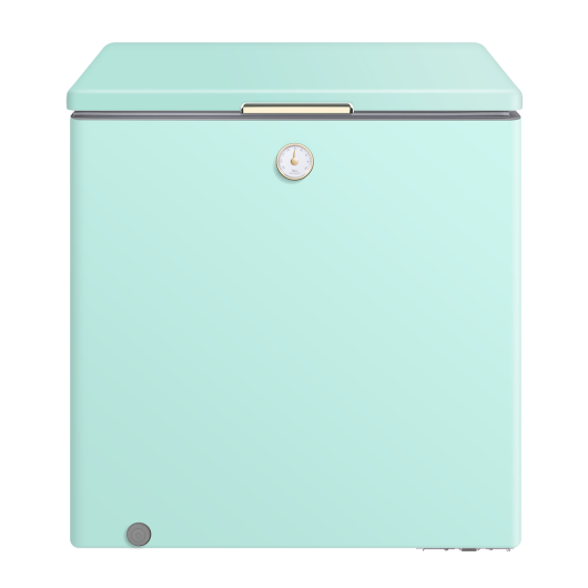 美的家商两用 囤货冷柜一级能效单温母婴母乳小冷柜 BD/BC-202KMT(E)