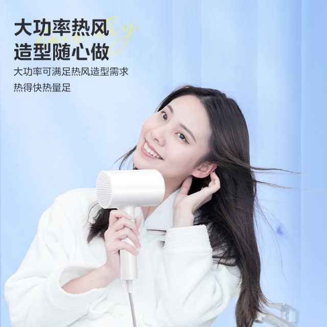 美的_电吹风_FZ201_极地白