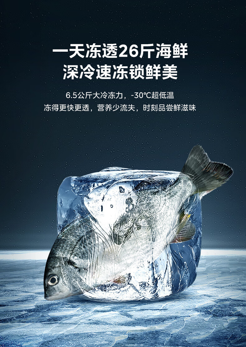 产品详情介绍