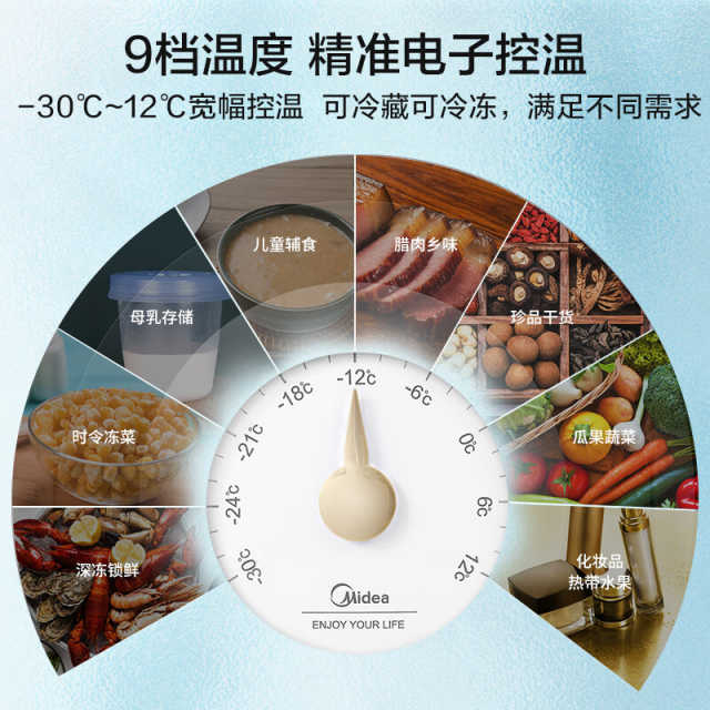 美的家商两用 囤货冷柜一级能效单温母婴母乳小冷柜 BD/BC-202KMT(E)