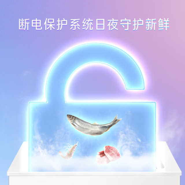 华凌冷柜 143升 一级能效省电 小巧不占地 专利减霜 断电锁冷 BD/BC-143KHD