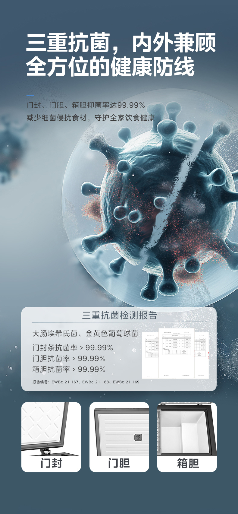 产品详情介绍