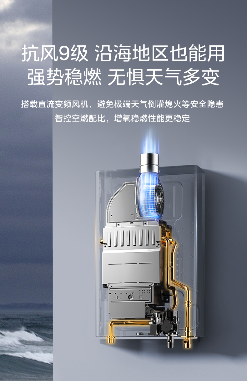 产品详情介绍