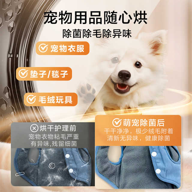 小天鹅 热泵烘干机 TH100QH19WZ 干衣护理机 瑾瑜蓝