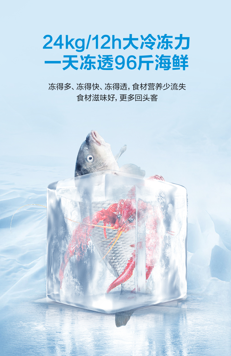 产品详情介绍