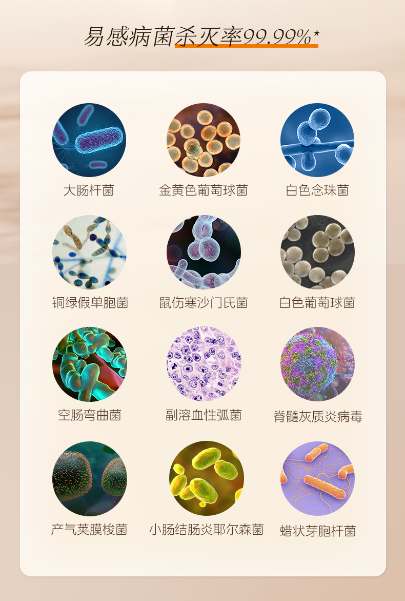 产品详情介绍