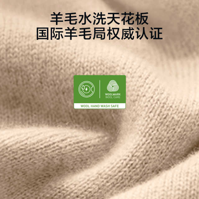 小天鹅小乌梅2.0高奢版 10kg洗烘一体 超微净泡水魔方 除螨除菌 TD10VE60 