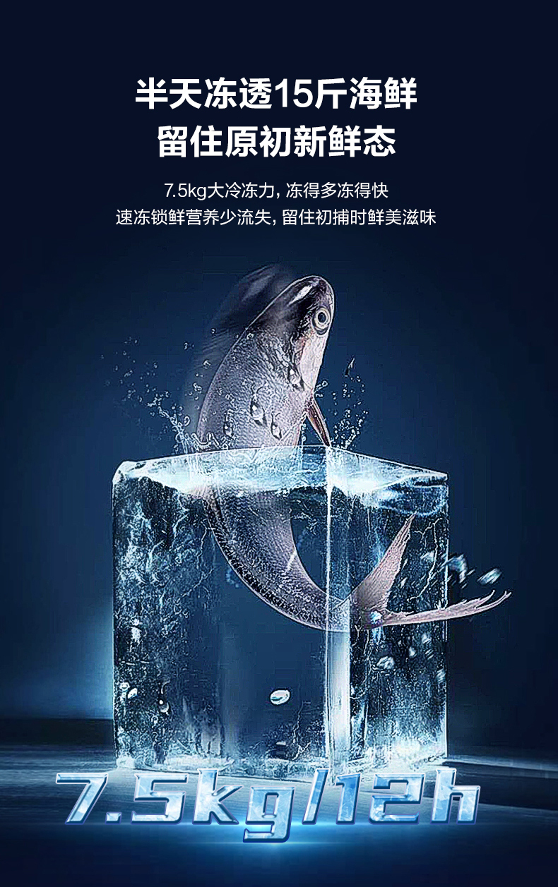 产品详情介绍