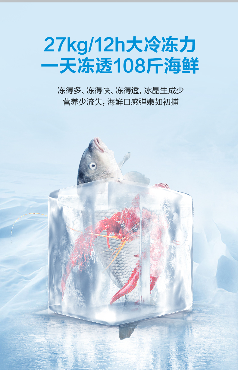 产品详情介绍