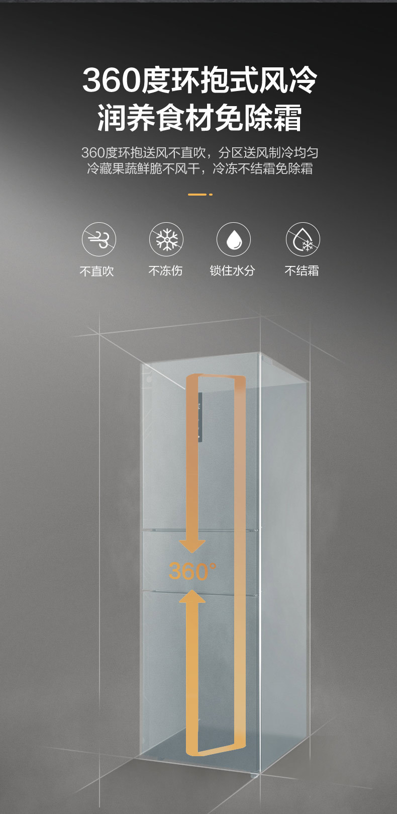 产品详情介绍