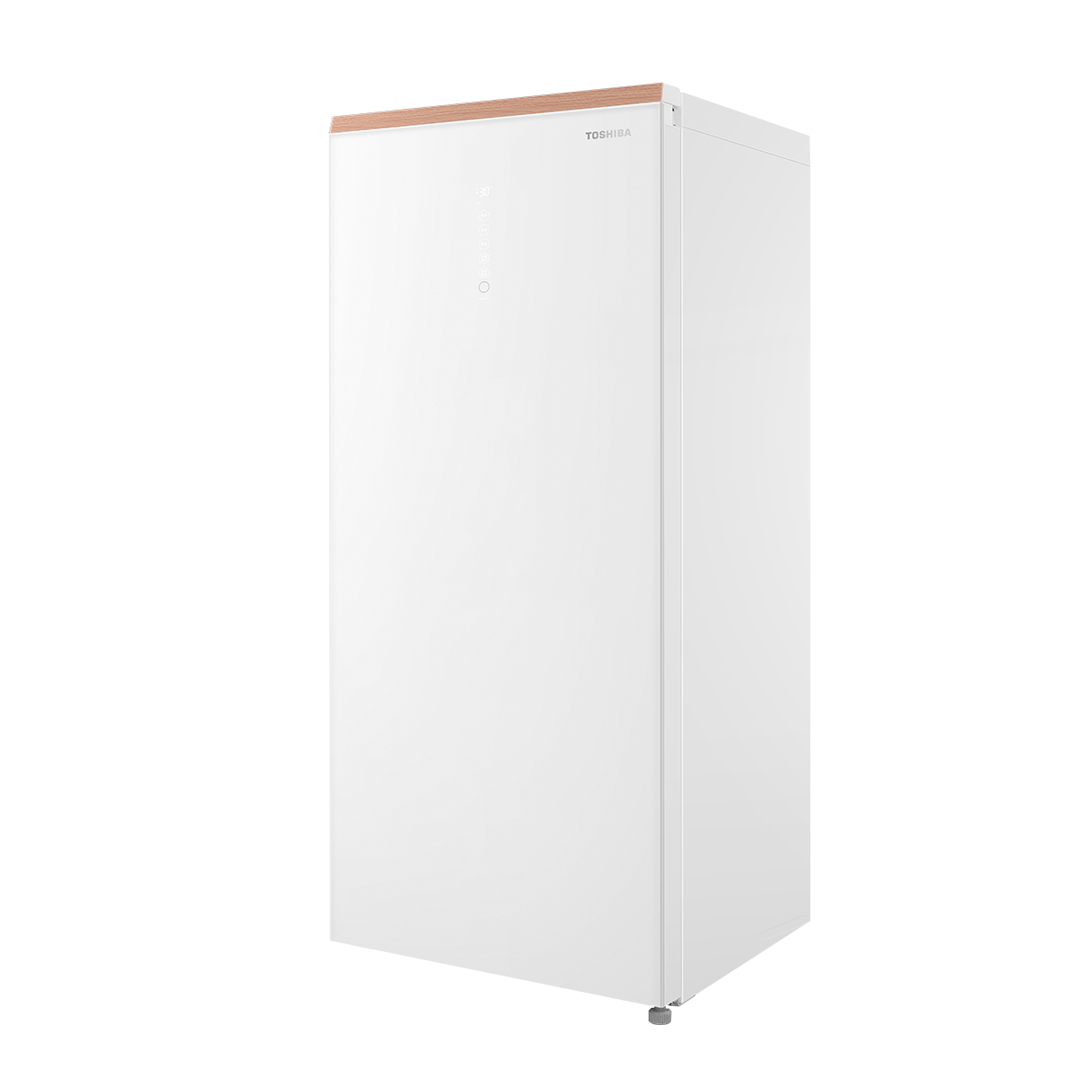 东芝 冷柜 GR-RU189WE-PG1B3 富士白