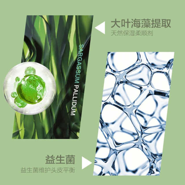 柏缇pote海藻去屑止痒洗发水 舒缓留香 氨基酸表活 男女通用 洗发露洗头膏 505ml 洗护用品