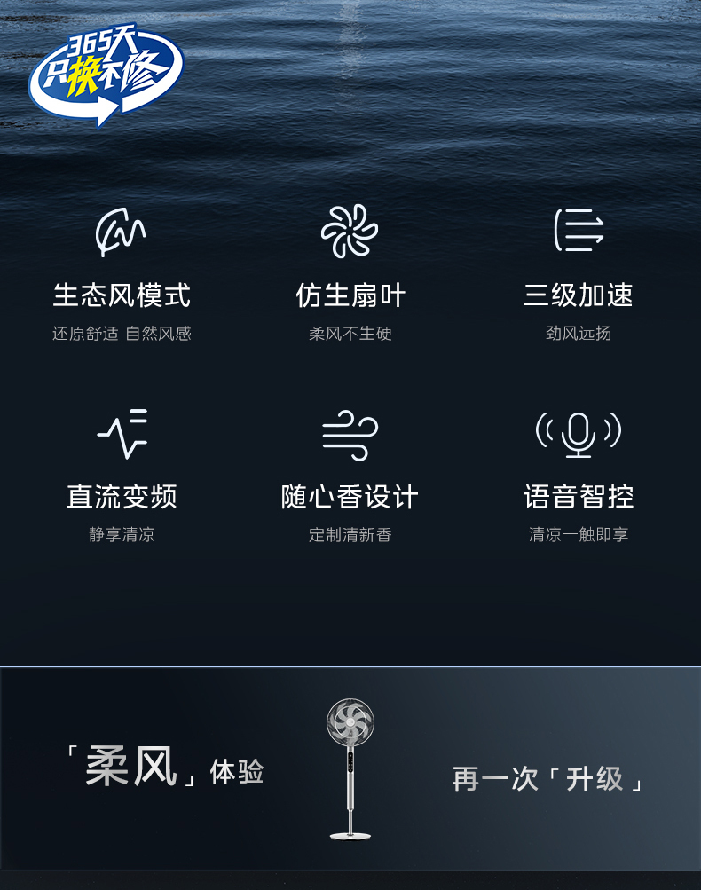产品详情介绍