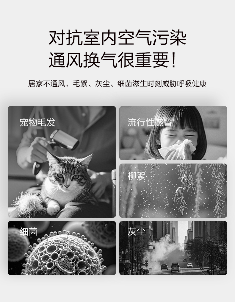 产品详情介绍