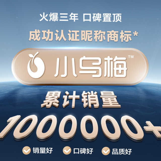 小天鹅小乌梅3.0 10KG洗烘套装 超微除菌气泡水 AI烘护 TG10DE40+TH10VE40