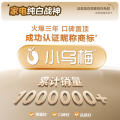 小天鹅【小乌梅3.0】10kg干衣机 1000ml蒸汽护理，强效去皱 羊毛蓝标 TH10VE40W