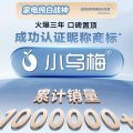小天鹅【小乌梅3.0】10kg洗烘套装 超微除菌气泡水TG10VE40W+TH10VE40W