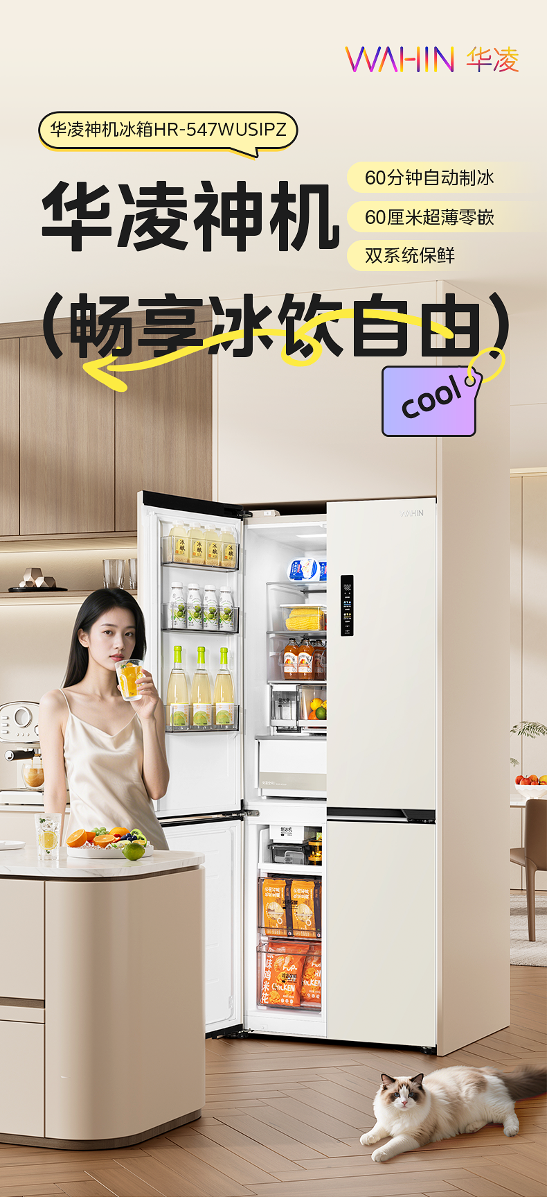 产品详情介绍